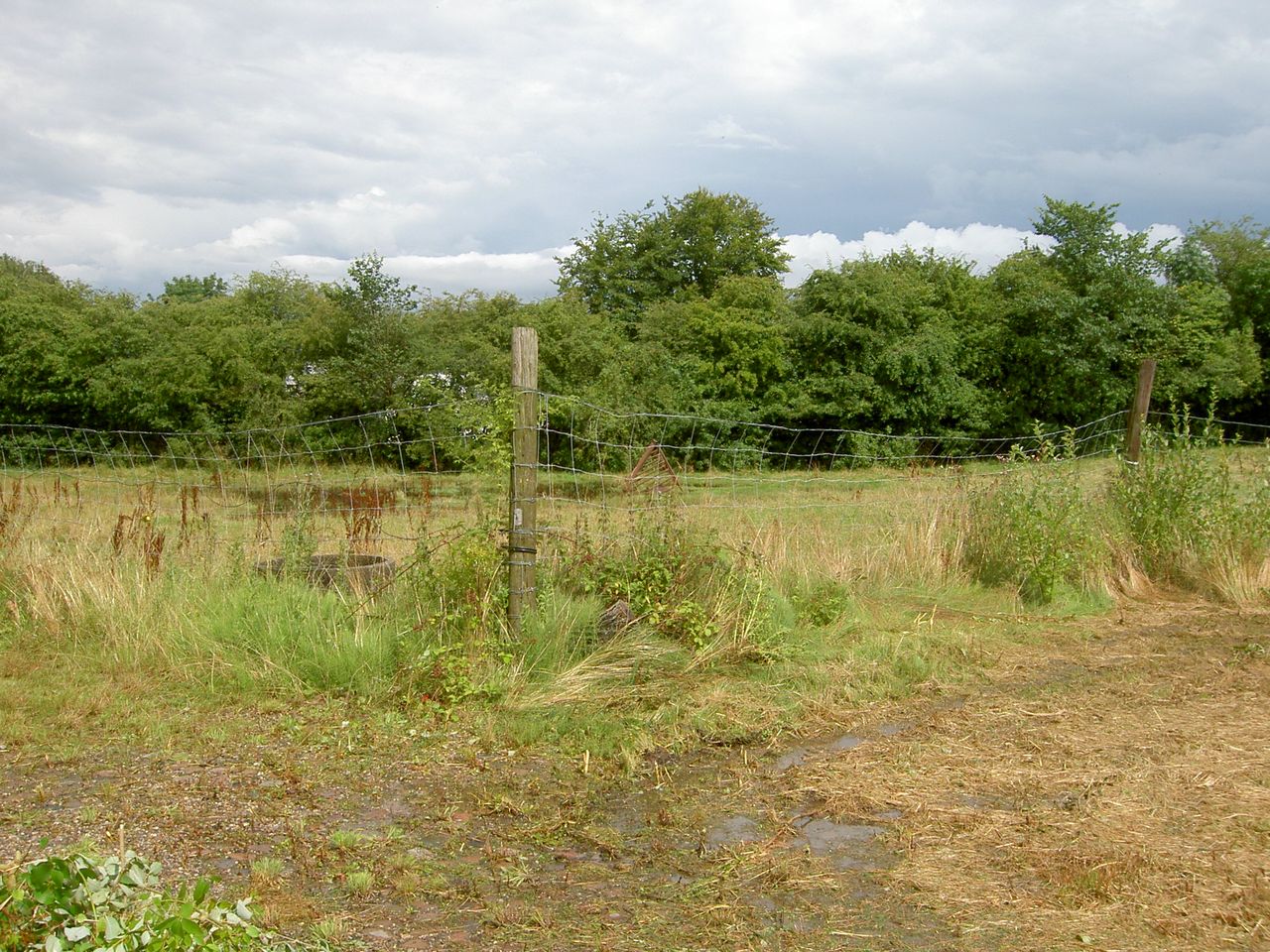 image 04